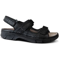 Black d Width